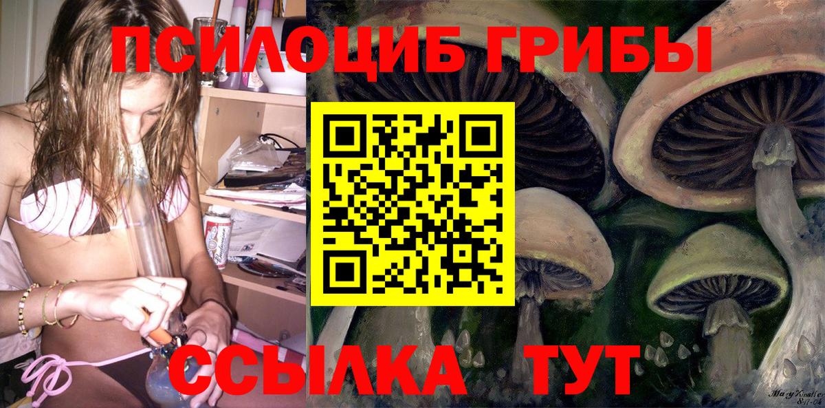 Псилоцибиновые грибы Cubensis Валуйки